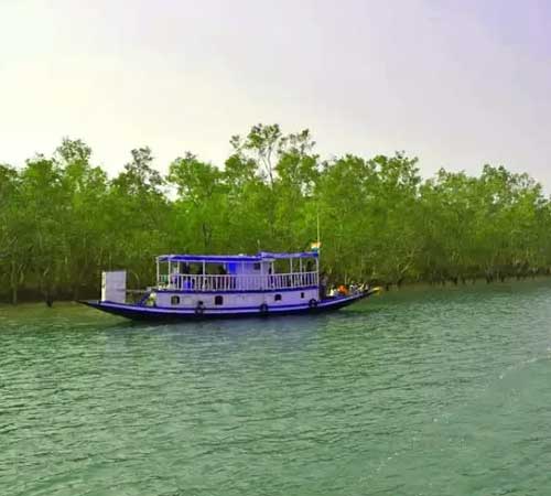 1 Day Sundarban Tour